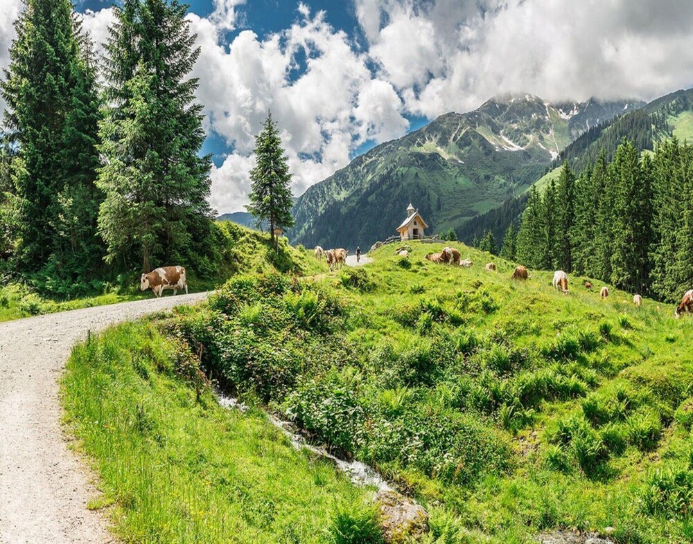 Chalet in Kitzbuhel Alps Near Hiking Trails