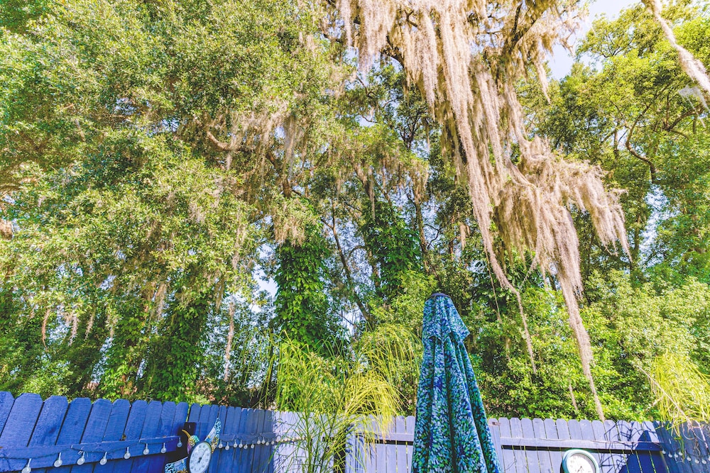 The Estate at Mount Dora