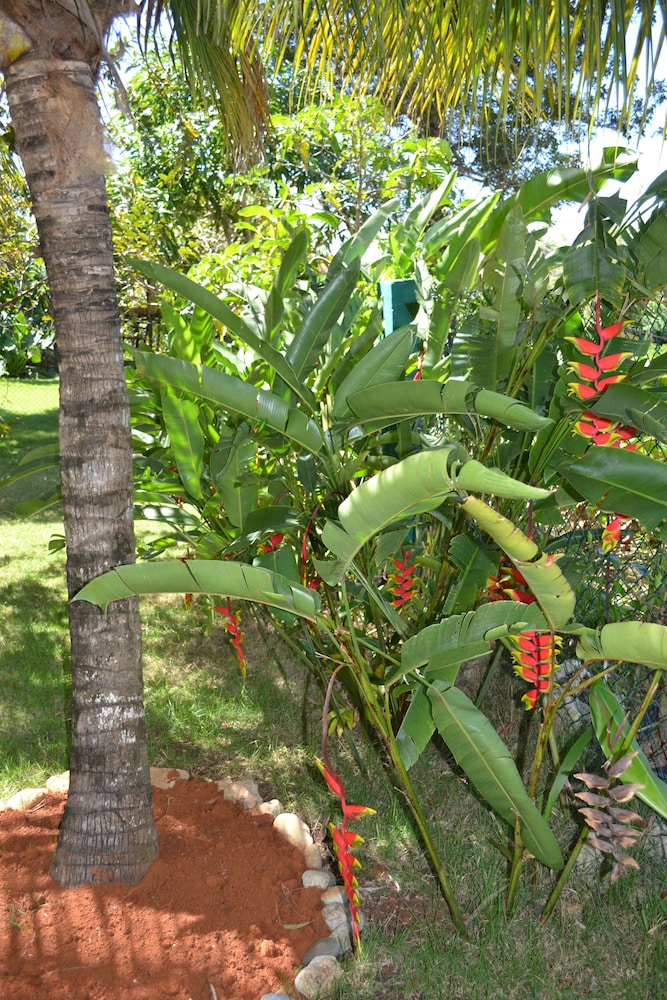 Villa, 4 Bedrooms, Private Pool, Tropical Garden, Ocean View