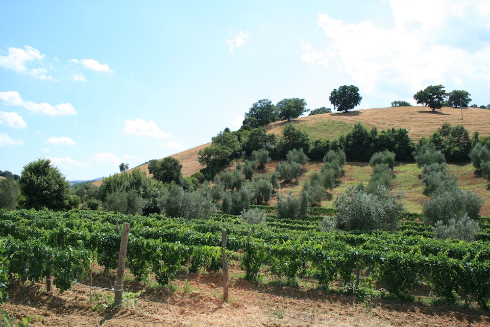 Agriturismo Serratone