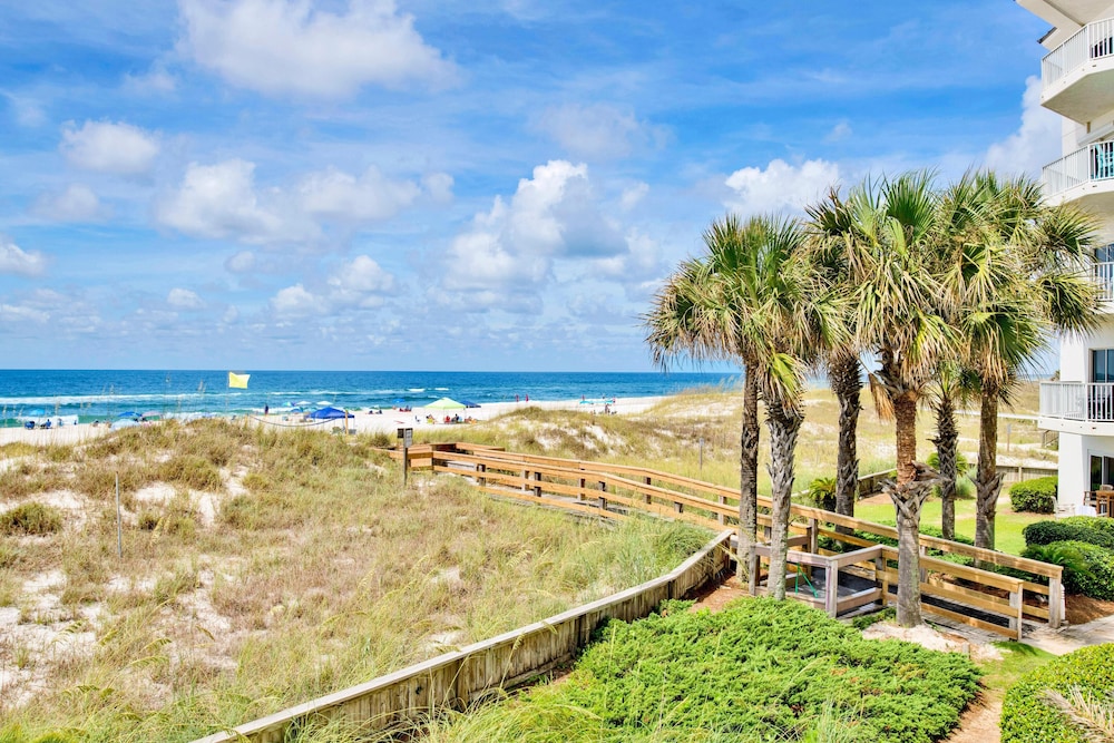 Palm Beach C21