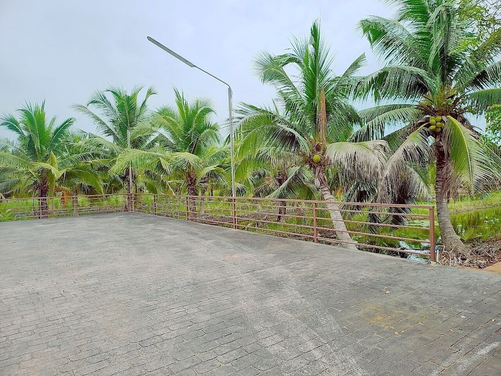 Coco and Canal HomeStory