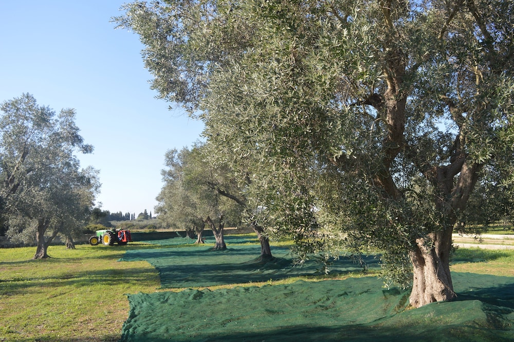 Tenute Masseria Notari