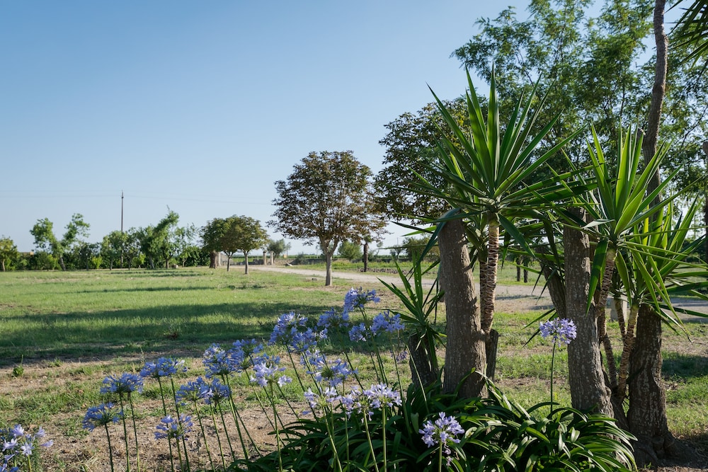 Masseria Mazzetta Salento