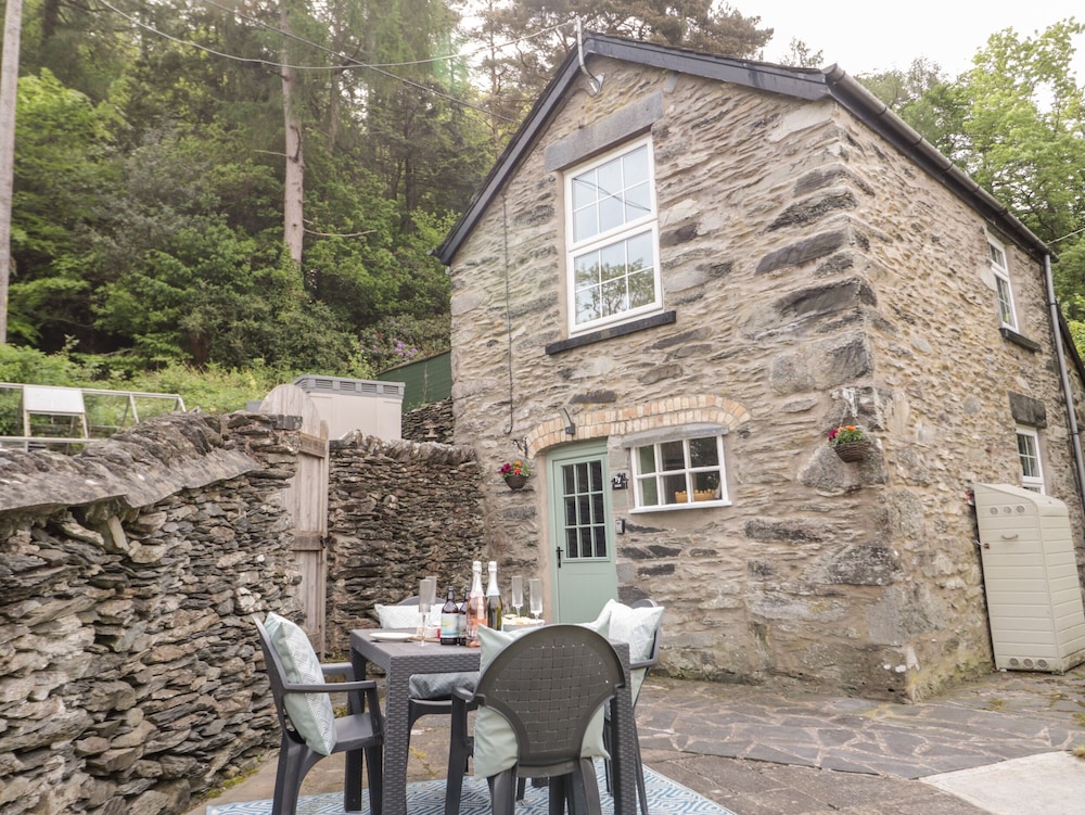 Bron Celyn Bach