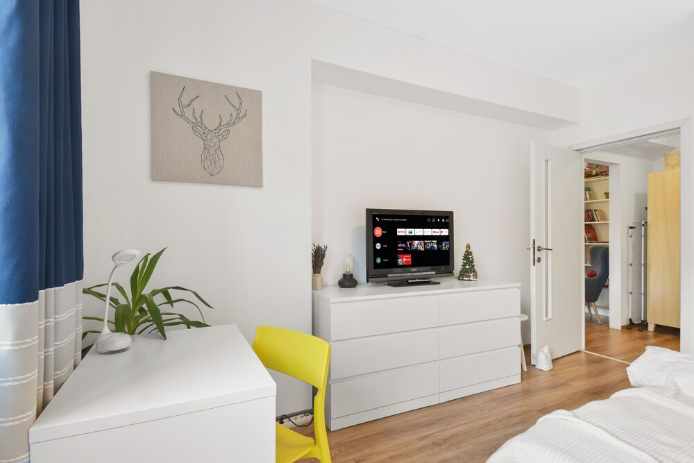 One Bedroom with Mountain View view 4