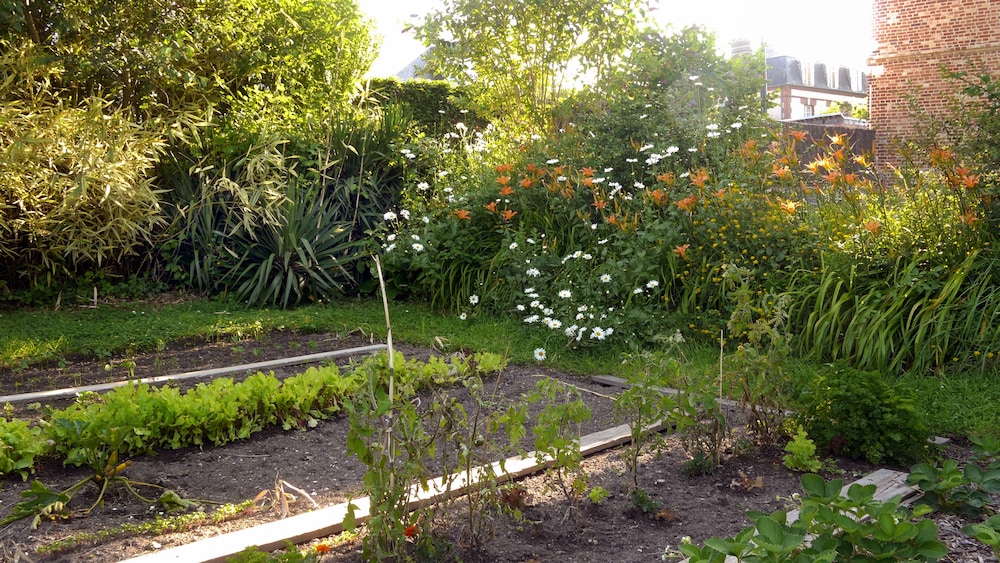 Photo 41