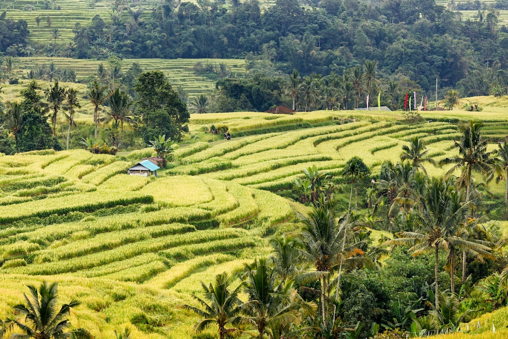 The Seminyak Beach Resort & Spa 77