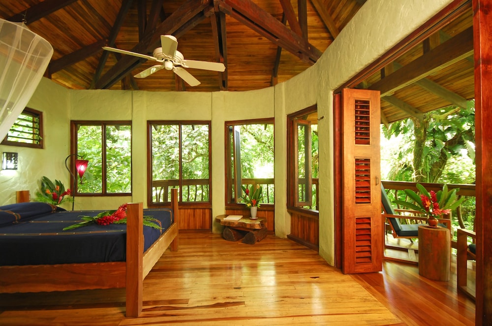Playa Nicuesa Rainforest Lodge view 5