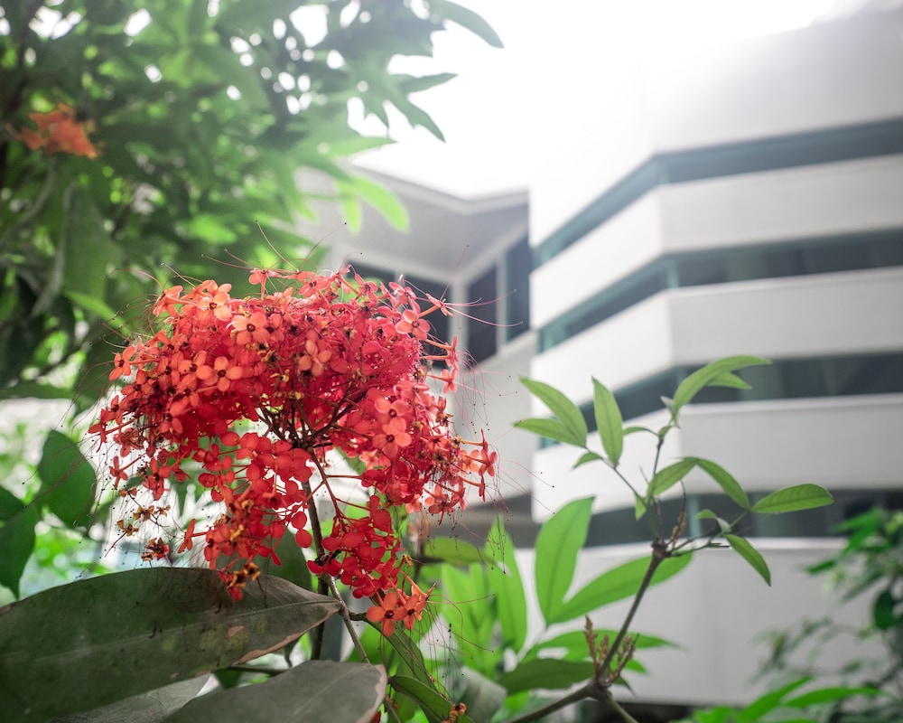 The Restel - Hostel