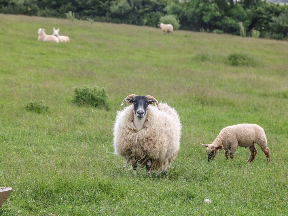 Photo 32