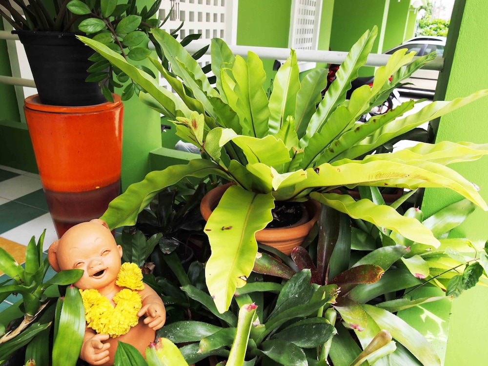 Thanapa Mansion - Hostel - Image 4