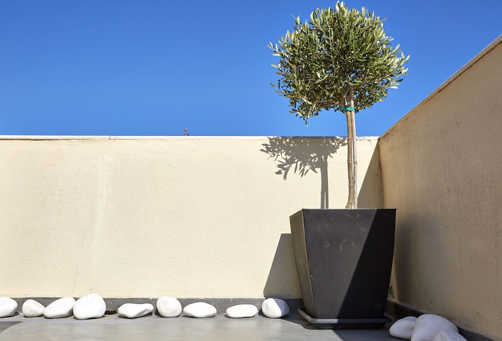 Le Blanc Suite