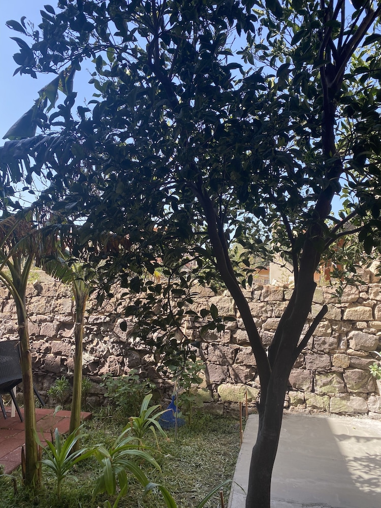 Concas Apartament