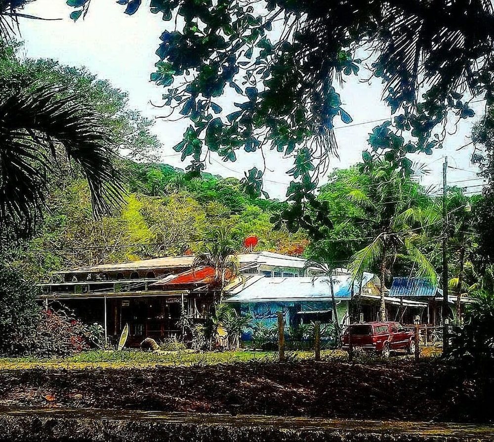 surfhouse pavones