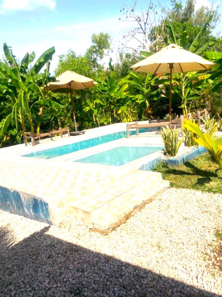 zanzllywood hotel and apartments