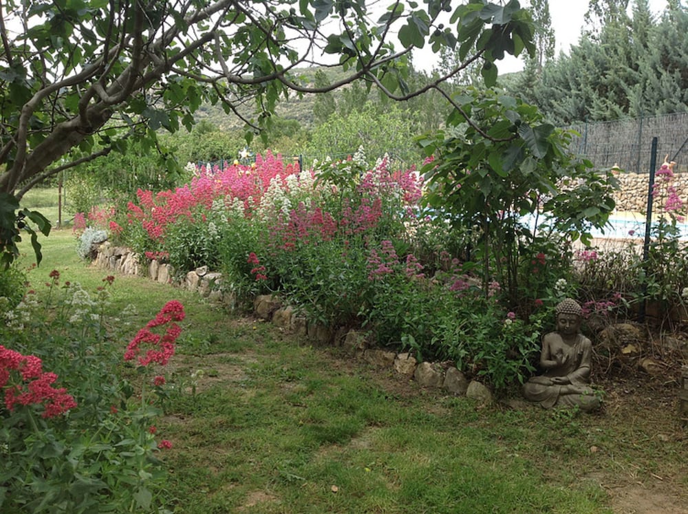 Photo 26