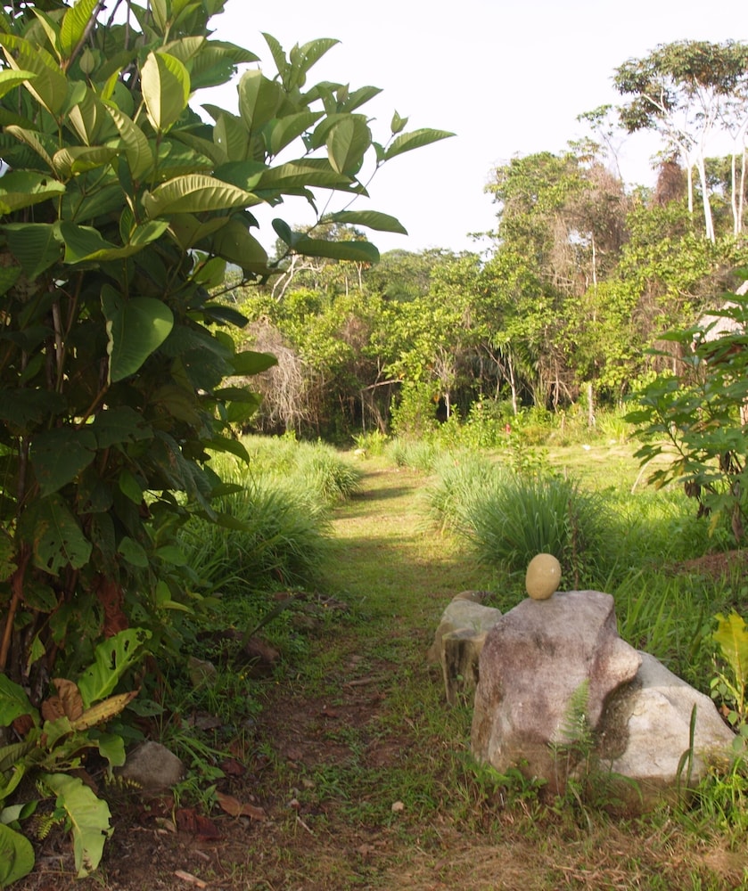 Matriz de Vida Lodge view 5