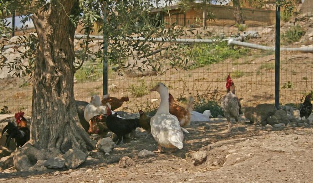 Tenuta di Roccadia