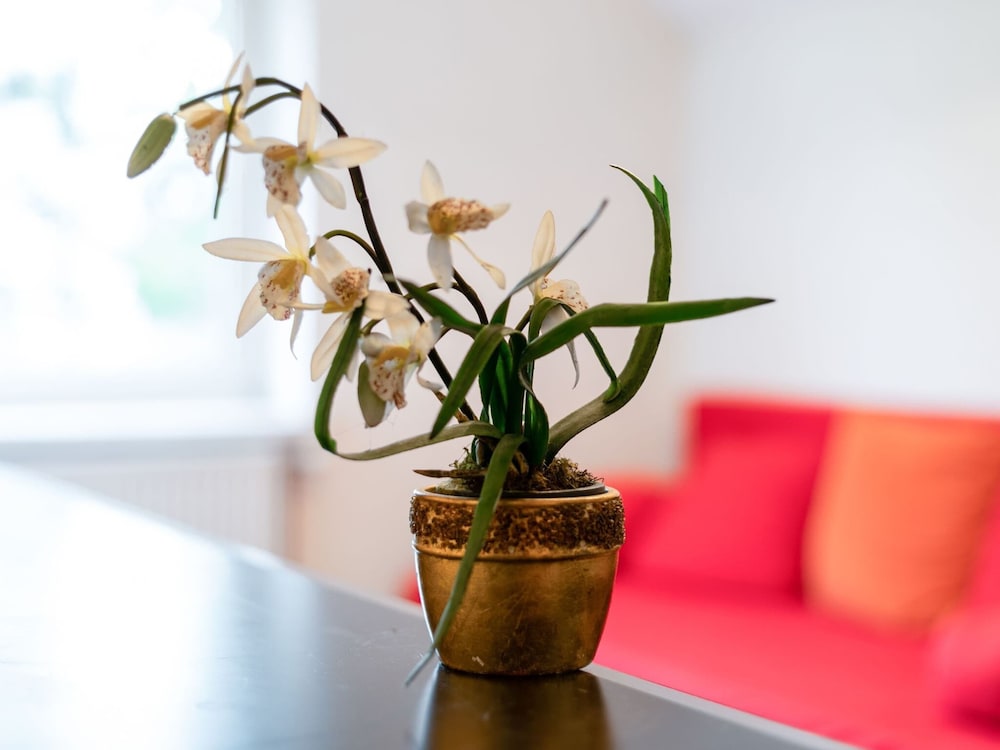 Lively Holiday Home in Wien With Private Garden