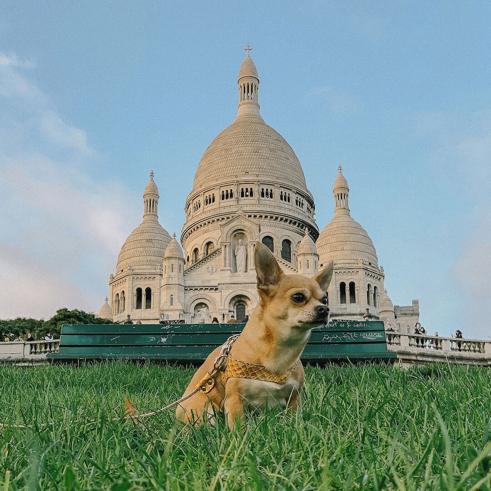 Montmartre Romantic