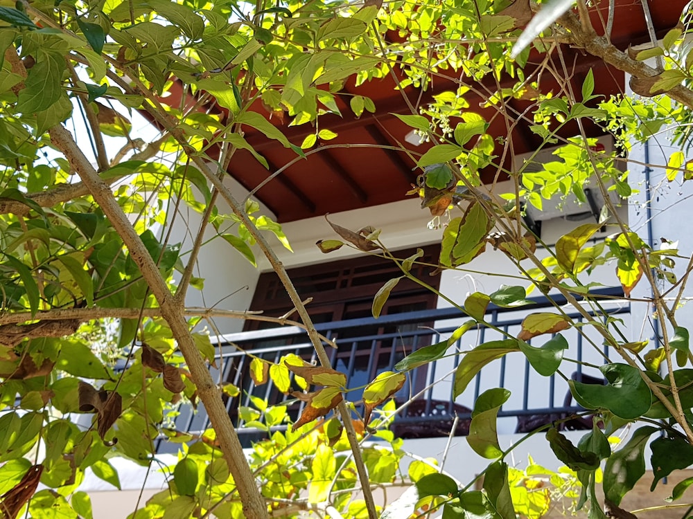 My Whales Guest House view 2