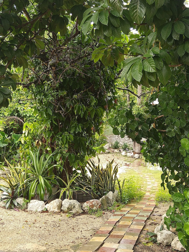 Casa Hostal Mamey - Hostel view 5