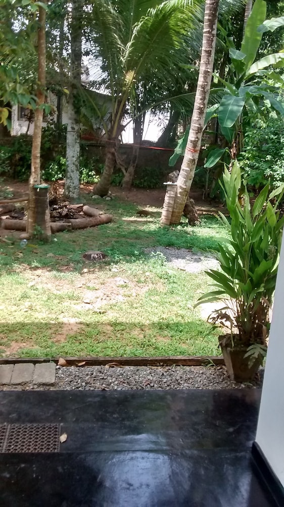 Jungleside House