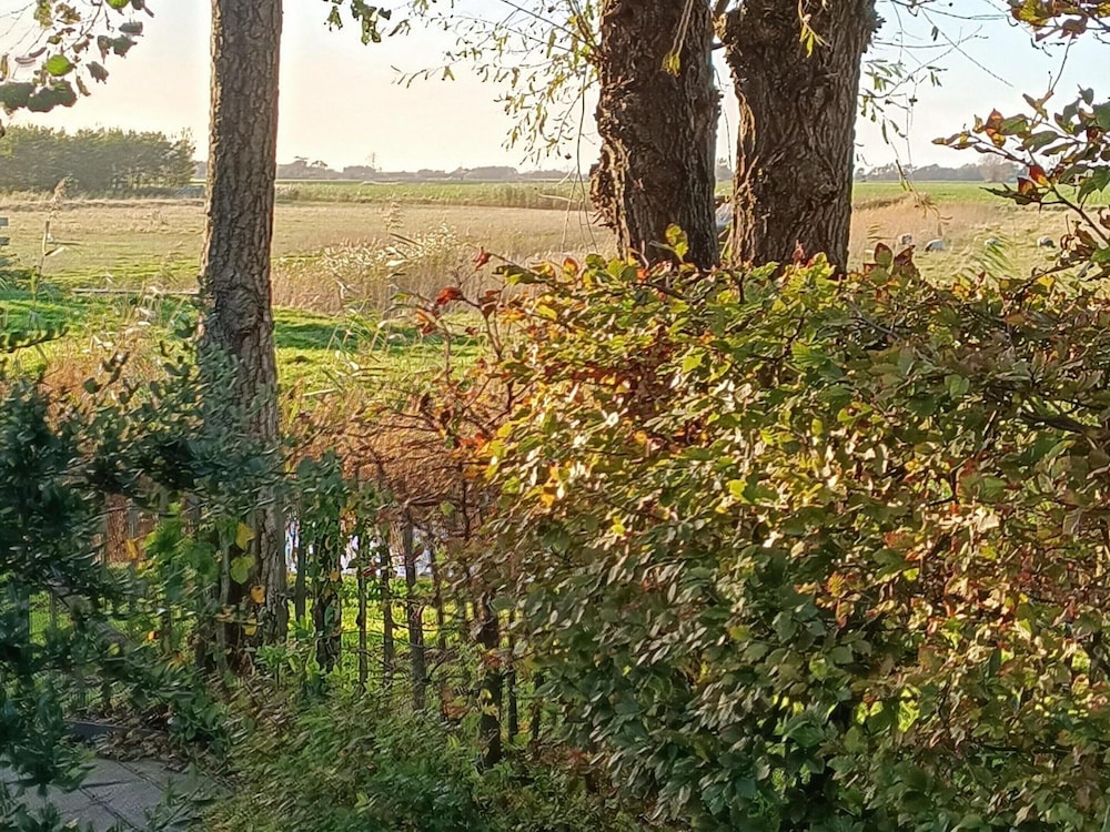 Cozy Holiday Home in Sint Maartenszee