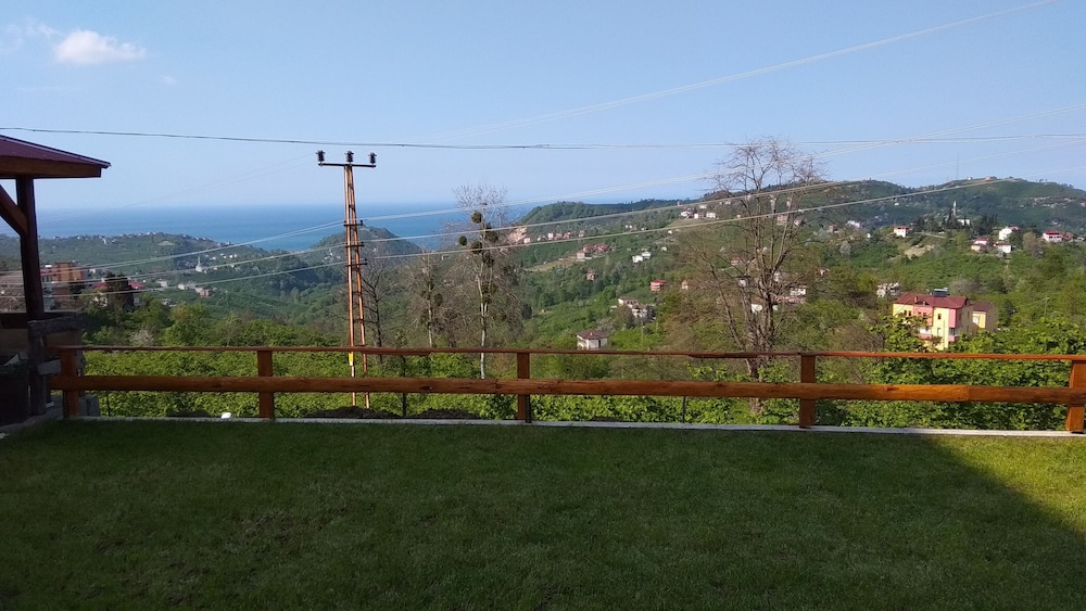 Akulnet 1