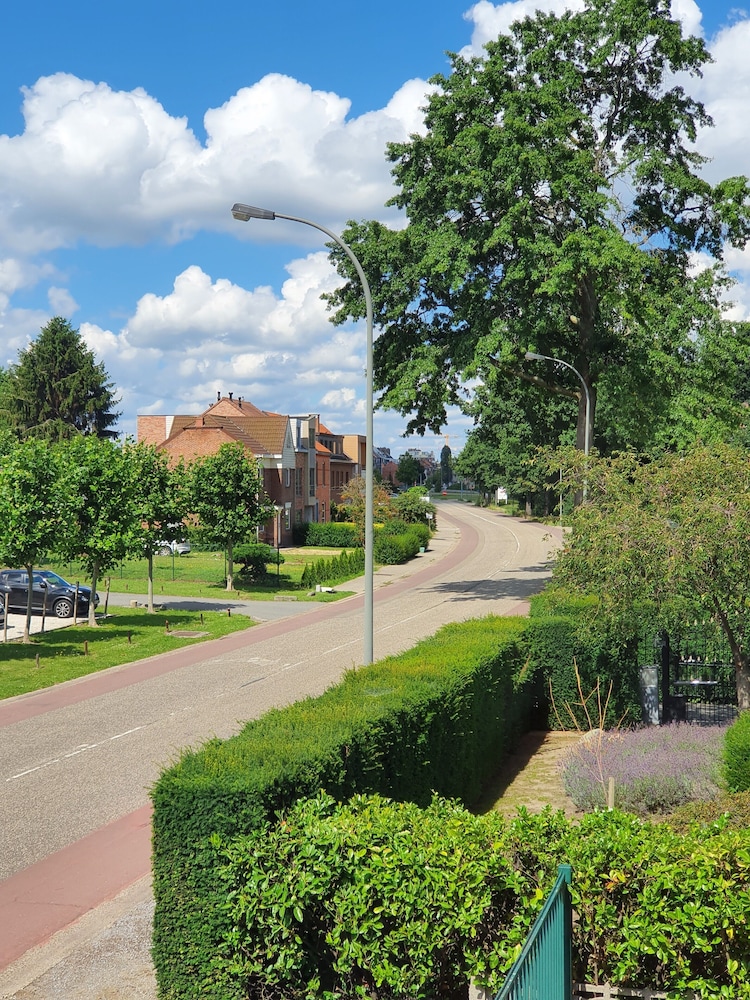 Photo 46