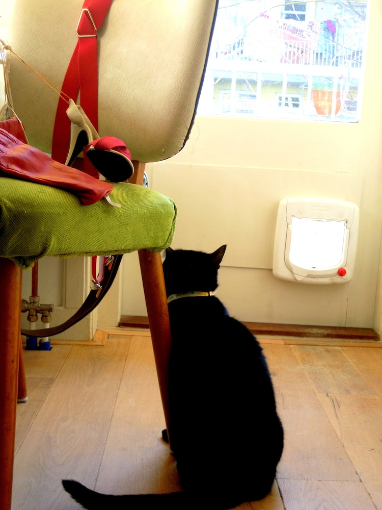 Miss Ortelia b&b