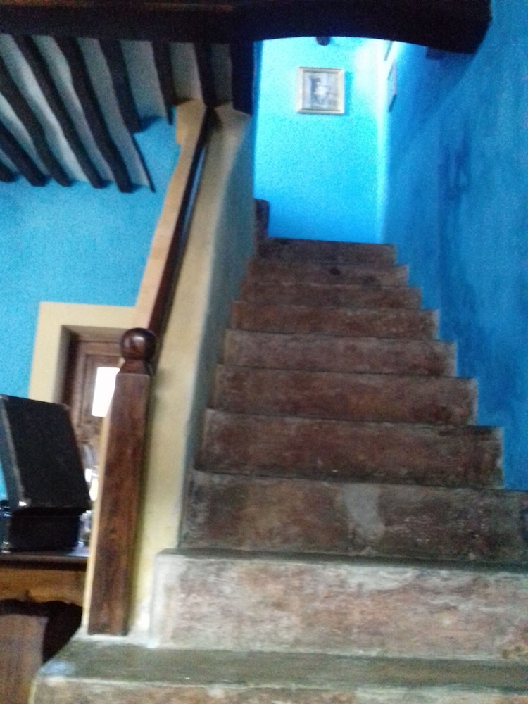 Jardim dos Aloés - Unique B&B, photo 14