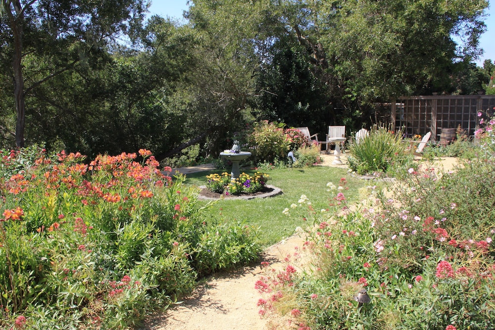 Photo 40