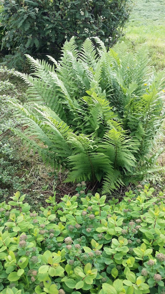 Photo 25