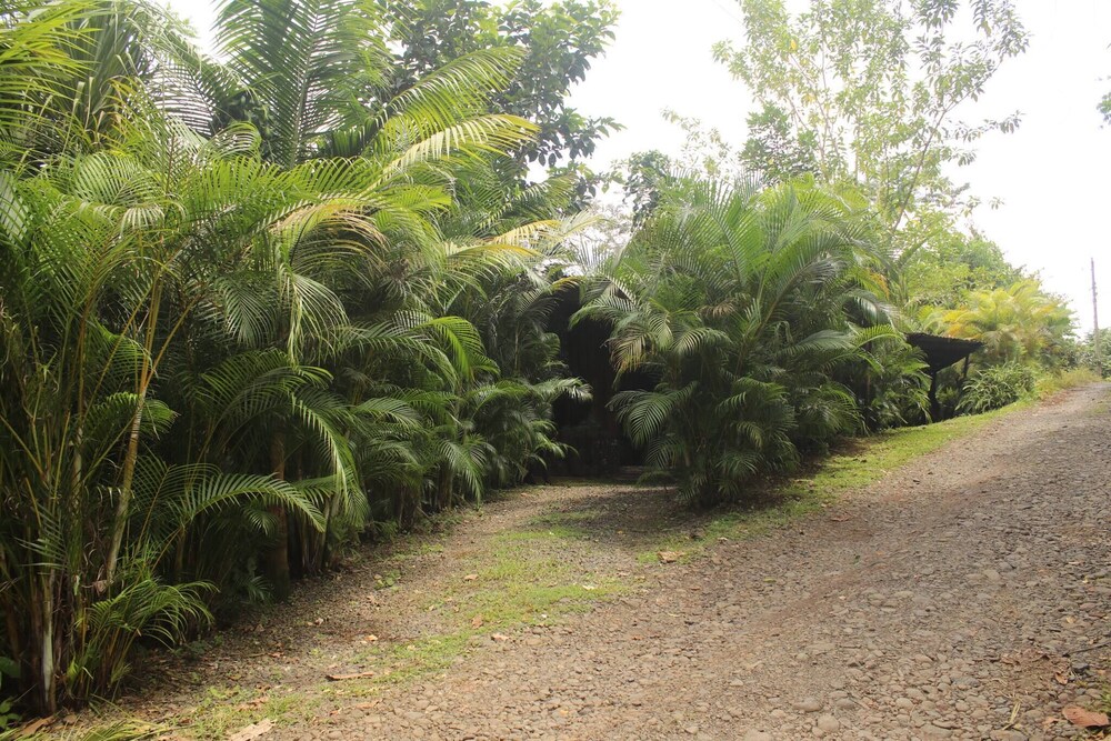 Cabaña Luculuc Garden & Forest