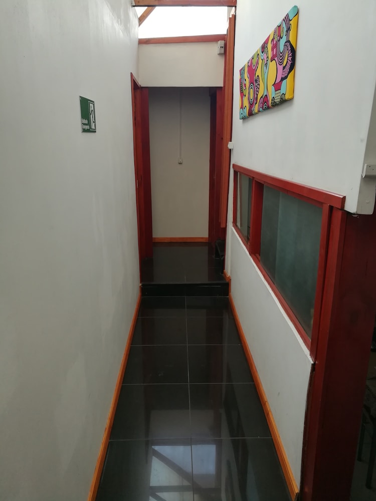 Photo 35