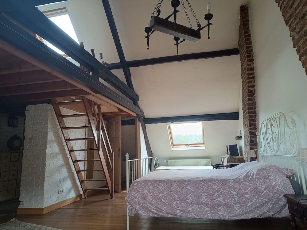 La maison des chiens view 3