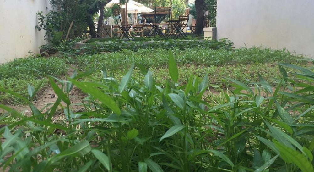 Heritage Homestay