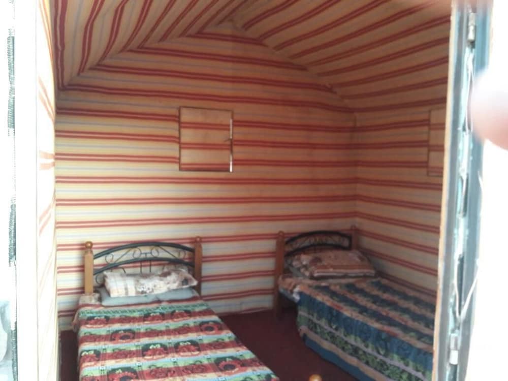 Wildlife Camp
