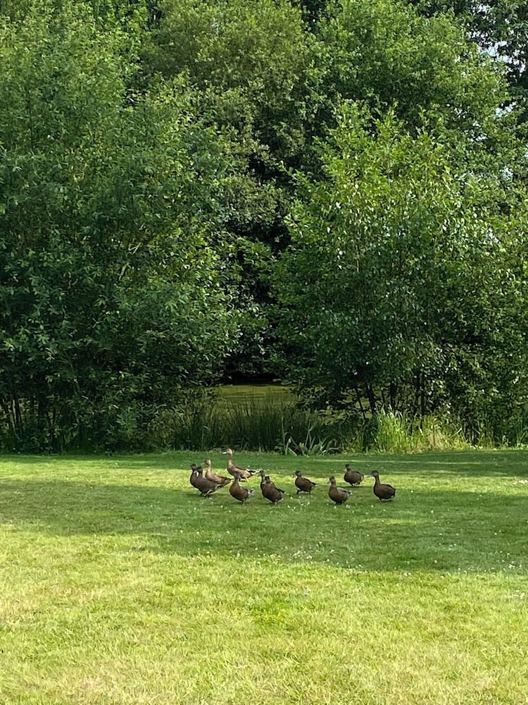 Le Manoir de la Campagne view 3