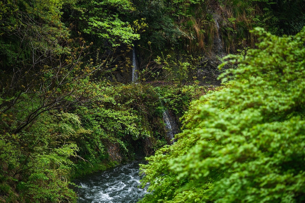 Yamanaka Onsen Shirasagiyu Tawaraya
