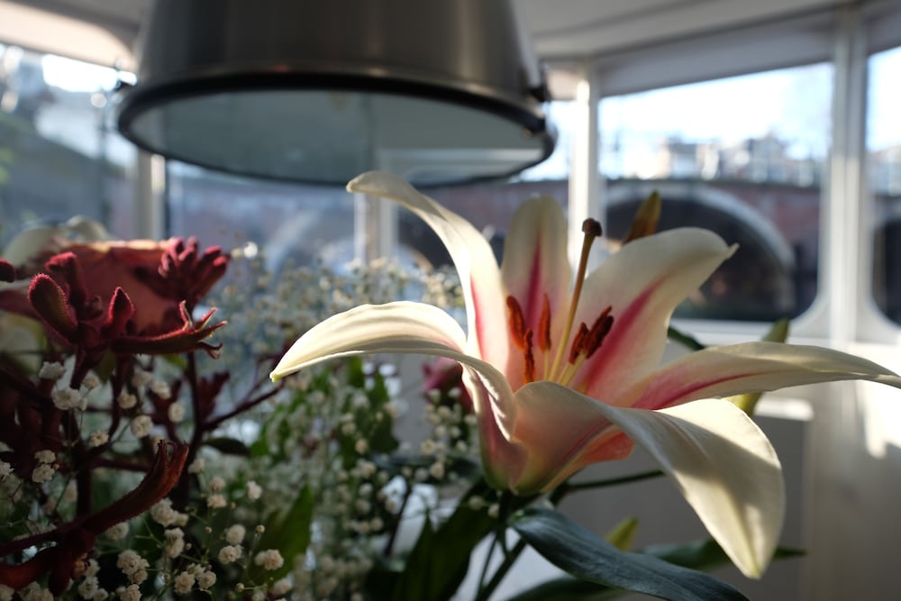 Houseboat Prinsheerlijk