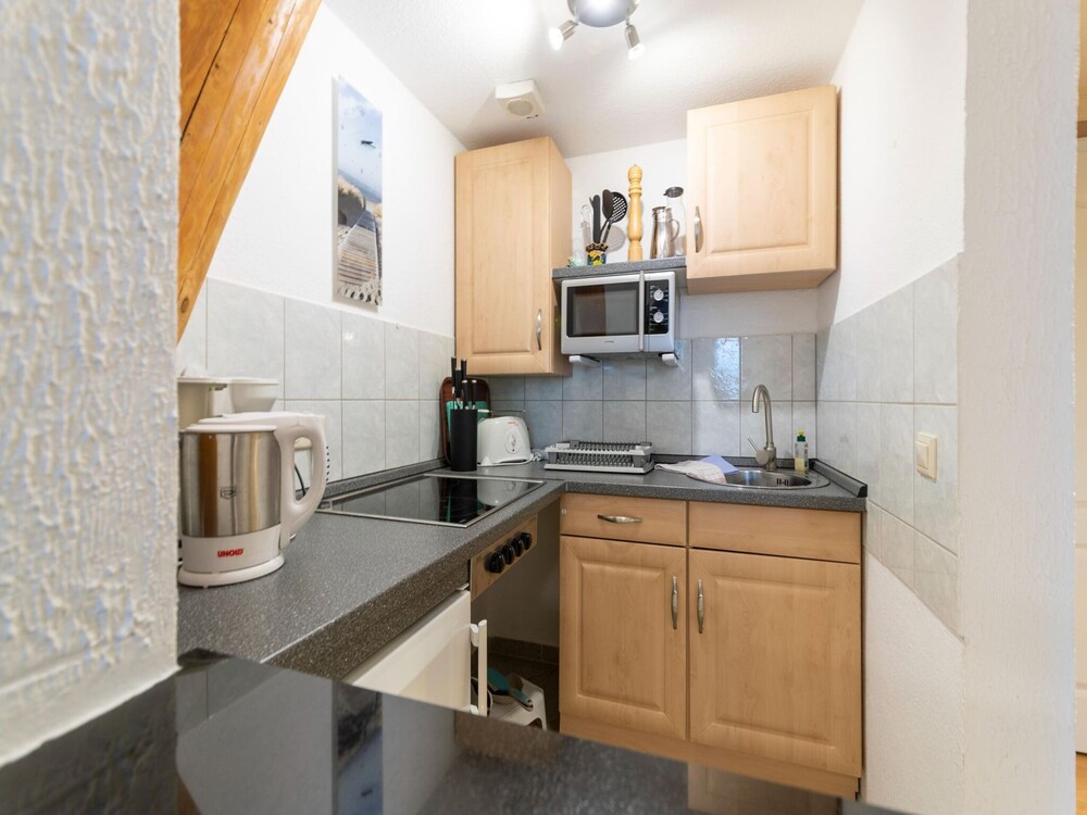 Holiday Flat in the Countryside in Grundshagen view 2