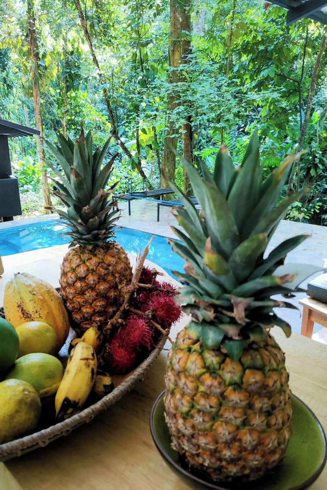 FINCA ARDILLA