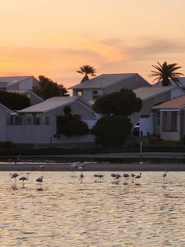 Flamingo Villa Beach Pool Luxury Solar Back Up