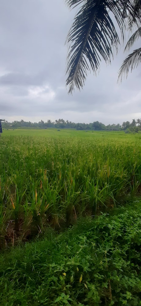 Ajik Guest House