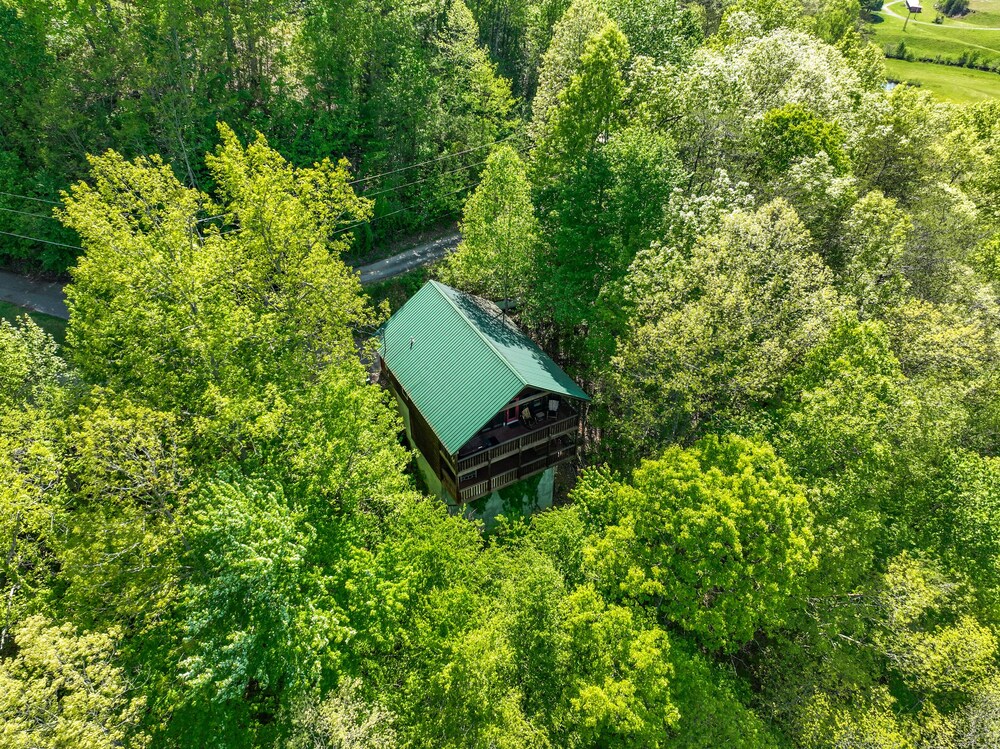 Only Dreamin' Cabin w/ Private Hot Tub view 3