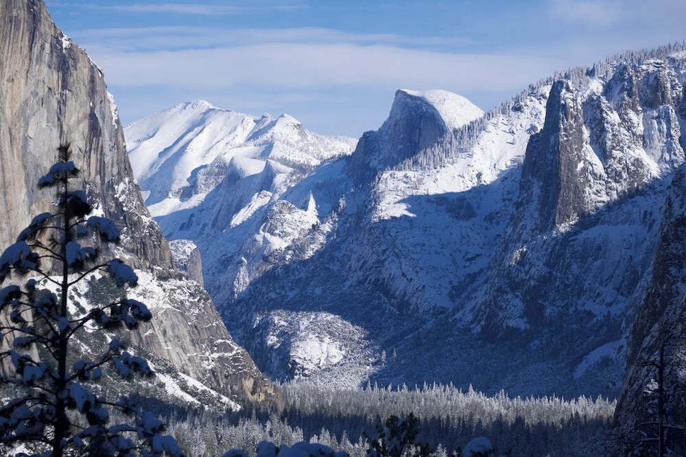 Yosemite Bug Rustic Mountain Resort