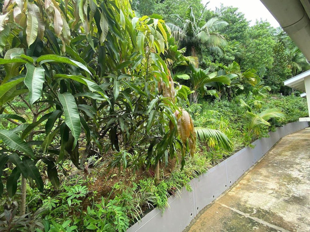 Stephna Residence